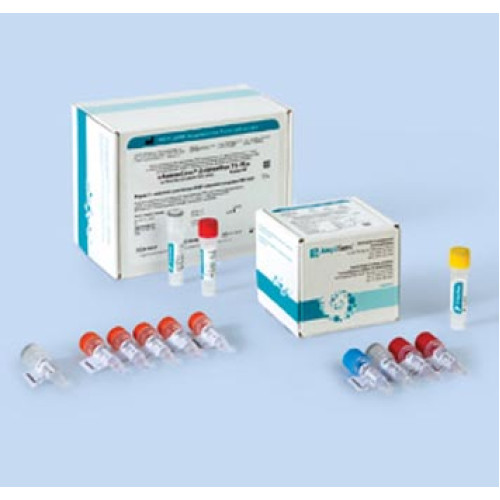 АмплиСенс® Enterovirus 71-FL. Выявление и дифференциация Enterovirus 71